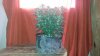 20150125_110055.jpg