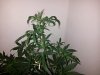 2015-01-25_15.40.42.jpg