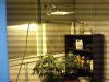 20150126_002146.jpg