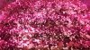 20150126_113538.jpg