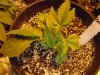 DSC00055.jpg DSC00055.jpg