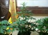 IMG_0189 1.jpg