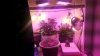 20150204_041625.jpg