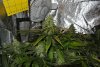 DSC_2636.jpg