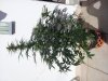 20150204_144603.jpg