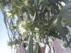 20150204_144756.jpg