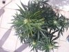 20150204_144924.jpg