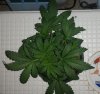 20150204_074940.jpg