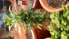 20150206_103439.jpg