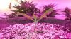 20150208_171546.jpg