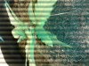 uploadfromtaptalk1423438183102.jpg