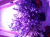 2015-02-10 10.46.10.jpg