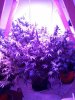 2015-02-10 10.46.10.jpg