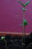 DSC03744.jpg
