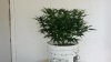 20150211_145311.jpg