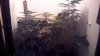 IMG_20150212_123400.jpg