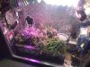 CAM01048.jpg