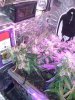 CAM01049.jpg