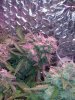 CAM01051.jpg