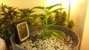 20150214_101951.jpg