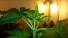 20150216_112649.jpg