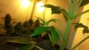 20150216_112819.jpg