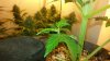 20150216_113245.jpg