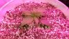 20150216_115903.jpg