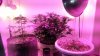 20150217_095516.jpg