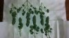 20150217_095424.jpg