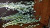 20150218_182218.jpg