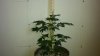 20150219_133047.jpg