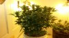 20150220_101057.jpg