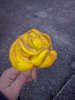 CAM01071.jpg