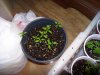 100_4810.jpg