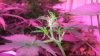 20150222_094231.jpg