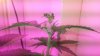 20150222_094151.jpg