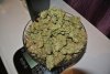 DSC_2647.jpg