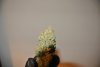 DSC_2648.jpg