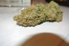 DSC_2650.jpg