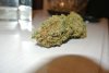 DSC_2651.jpg