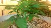 20150223_080415.jpg