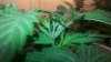 20150223_080547.jpg