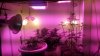 20150223_081056.jpg