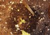 20150224_sd1.jpg