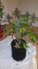 20150215_185625.jpg