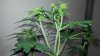 20150225_104719.jpg