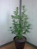 20140225_101330.jpg