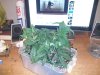 CAM01099.jpg