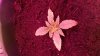 20150227_144203.jpg